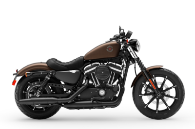 883iron harley davidson 2019