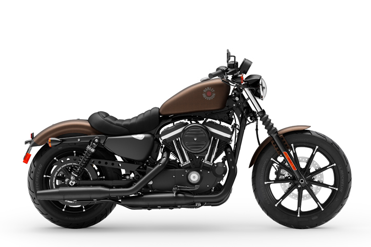 Harley Davidson Iron 883 Harley Davidson Pavia