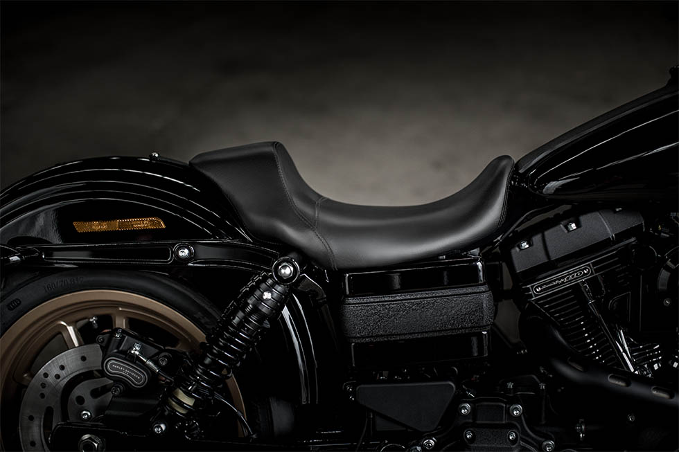 https://www.harleydavidsonpavia.com/wp-content/uploads/2017/03/harley-davidson-pavia-img-8-low-rider-s.jpg