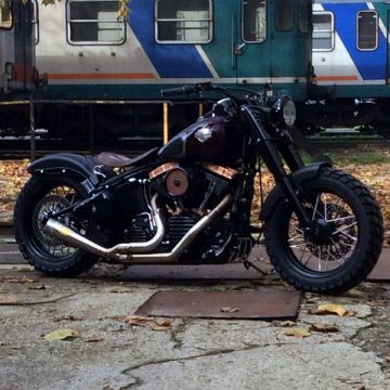 slim_harley_davidson_pavia